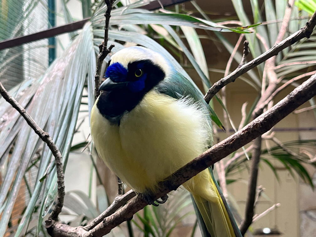 23-09-22 15-02-56 7306